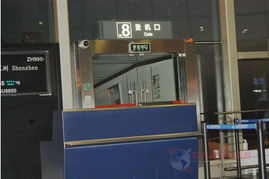 深圳華南國際孕嬰童用品展覽會 服裝鞋帽新趨勢全解析